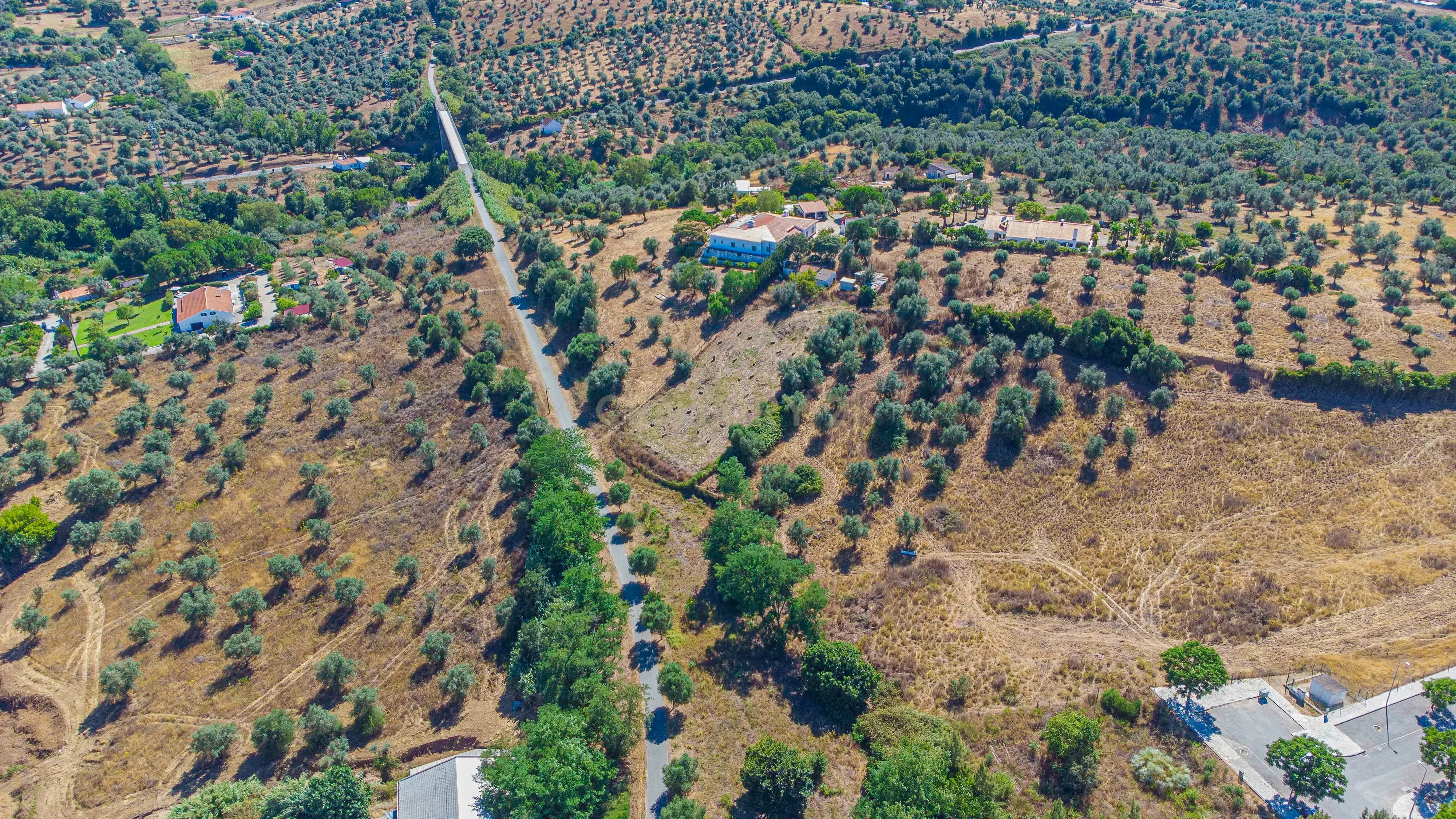 # Terreno Rustico em pleno centro de Montemor -o -Novo - Image 31