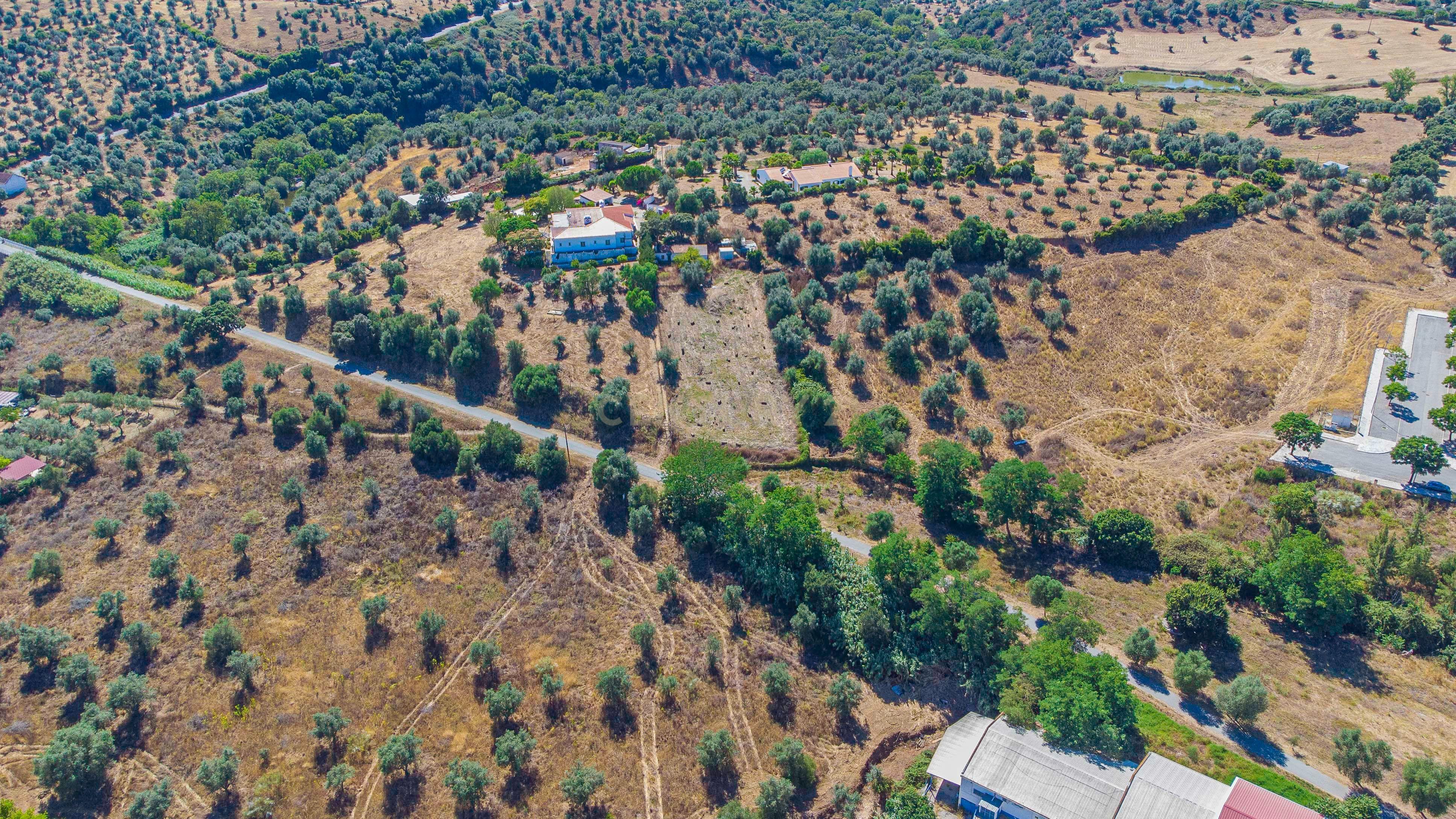# Terreno Rustico em pleno centro de Montemor -o -Novo - Image 32