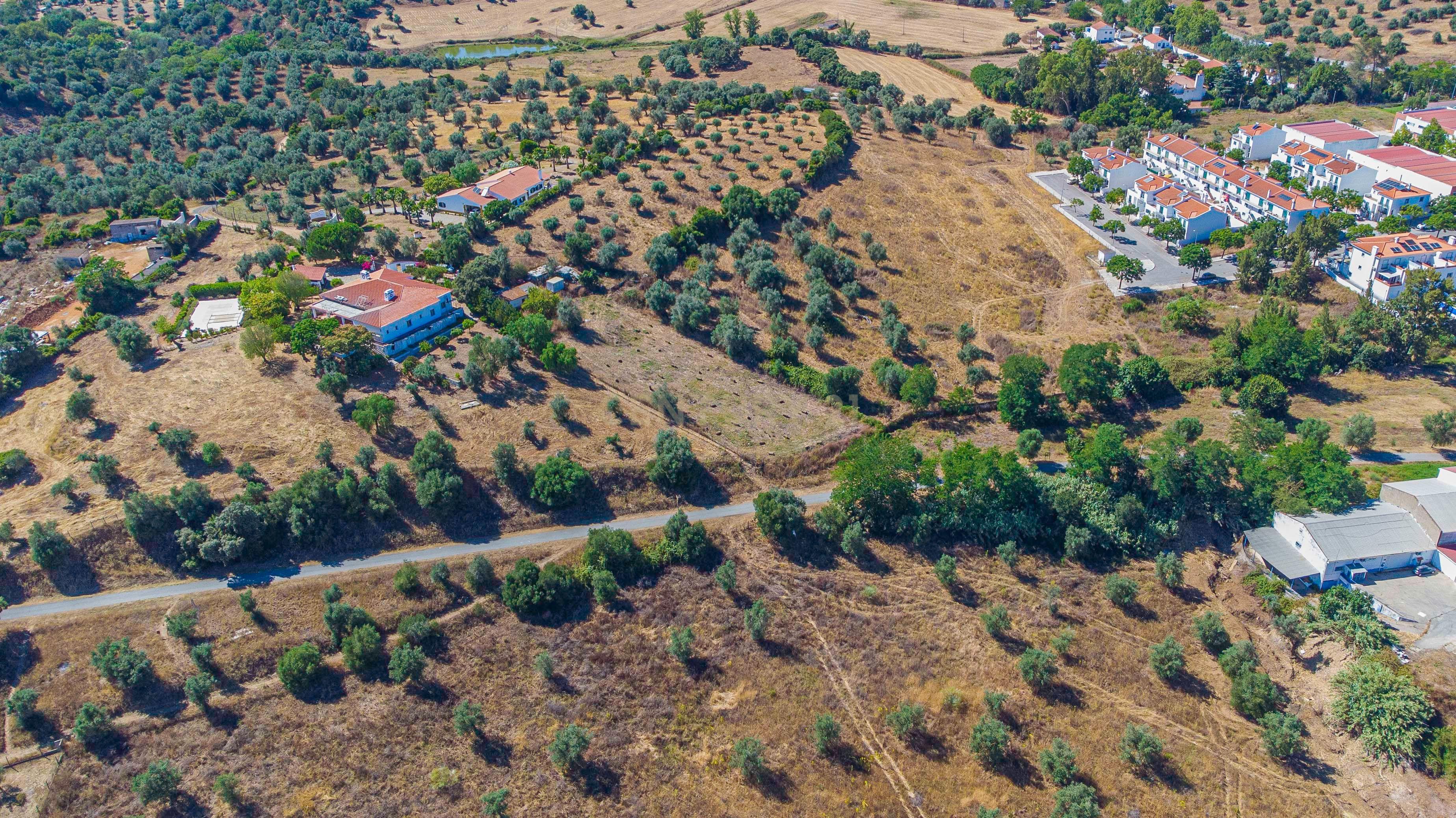# Terreno Rustico em pleno centro de Montemor -o -Novo - Image 33