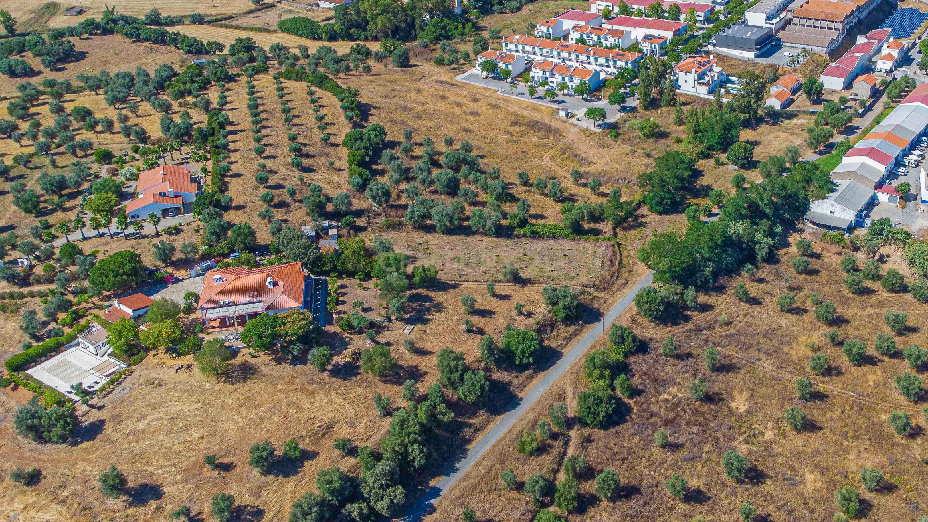 # Terreno Rustico em pleno centro de Montemor -o -Novo - Image 44