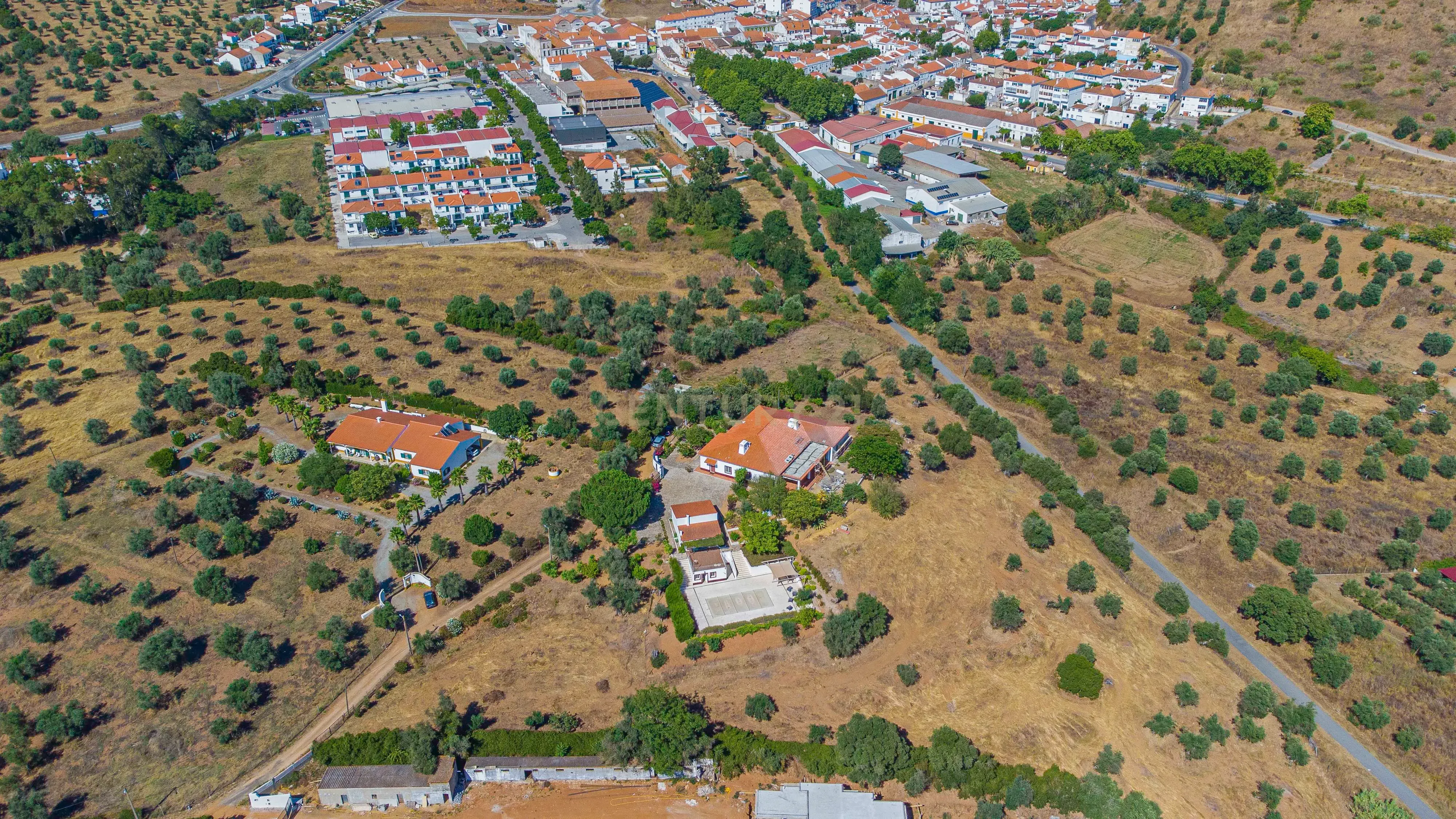 # Terreno Rustico em pleno centro de Montemor -o -Novo - Image 35