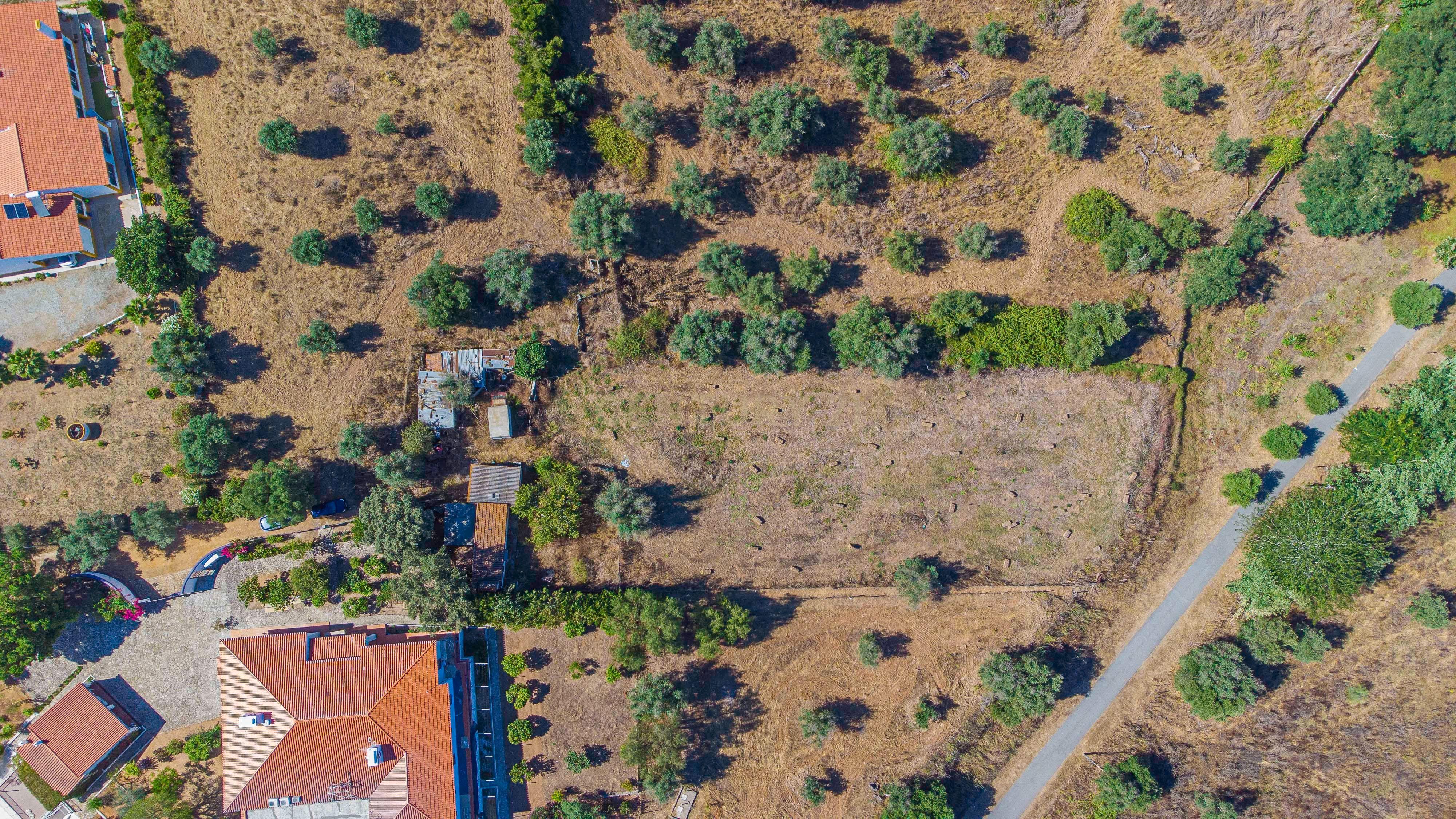 # Terreno Rustico em pleno centro de Montemor -o -Novo - Image 43