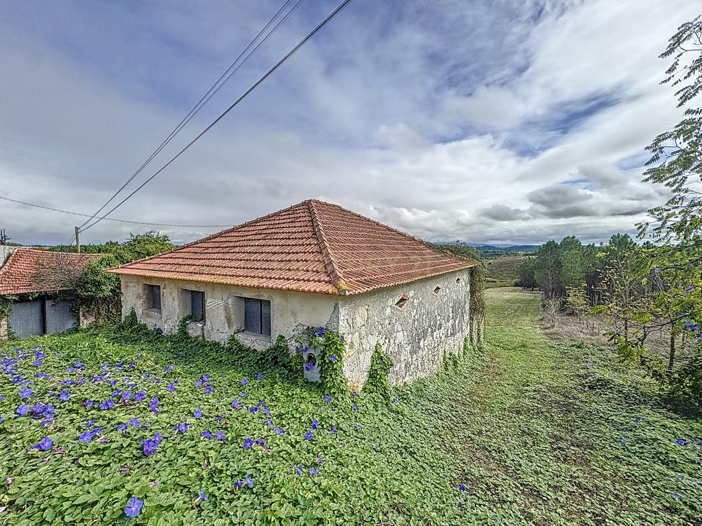 Terreno - Adega - Para Restaurar -  Montes - Quinta - Alcobaça - Image 1