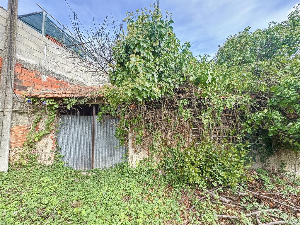 Terreno - Adega - Para Restaurar -  Montes - Quinta - Alcobaça - Image 10