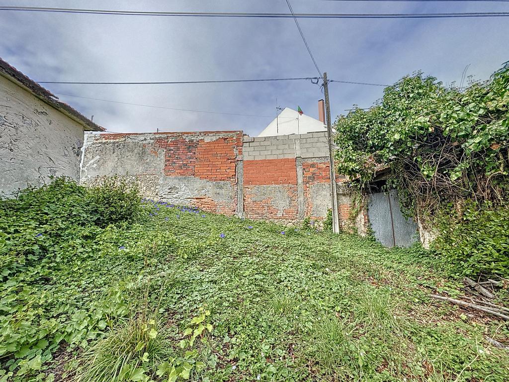 Terreno - Adega - Para Restaurar -  Montes - Quinta - Alcobaça - Image 9