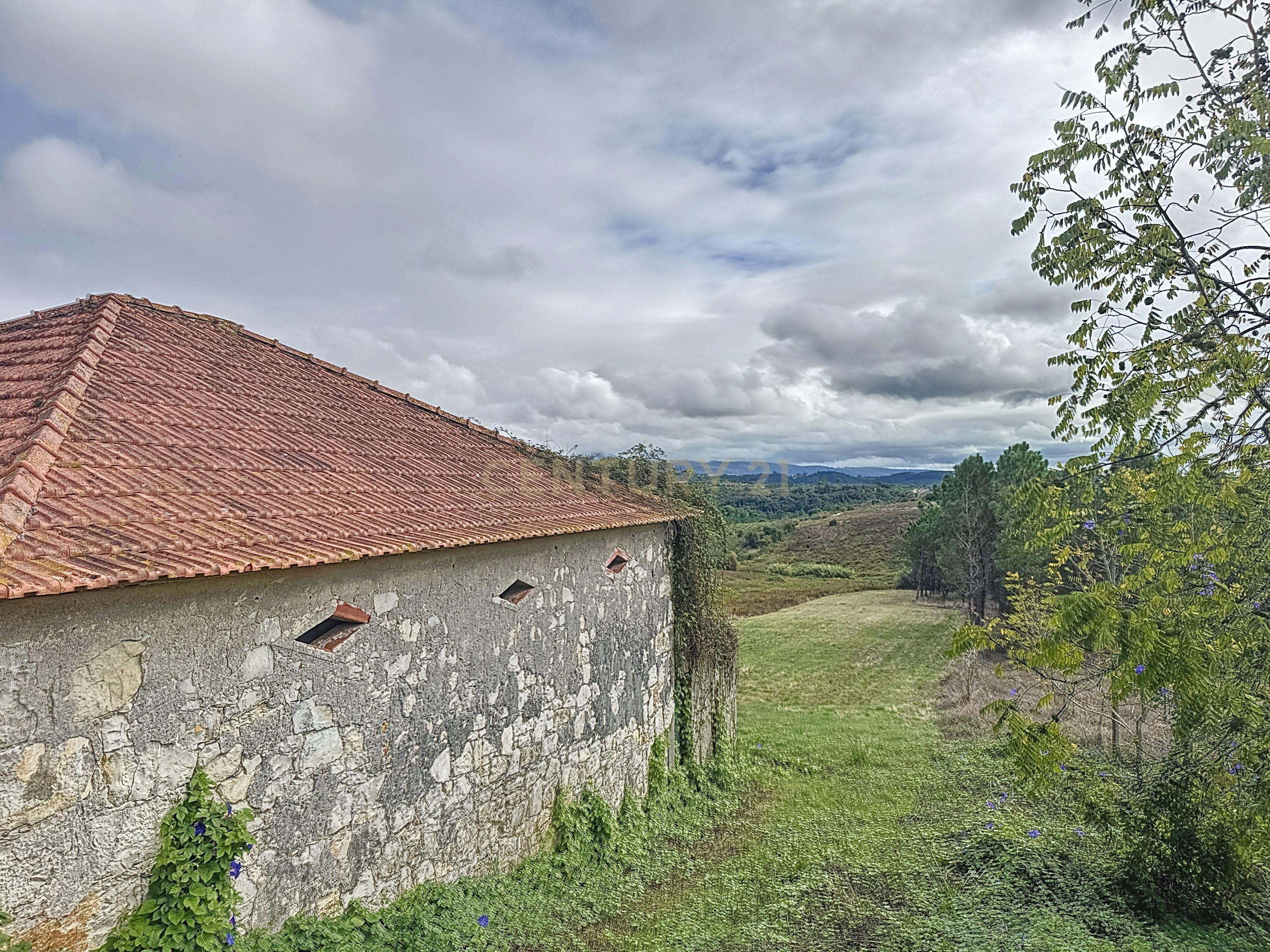Terreno - Adega - Para Restaurar -  Montes - Quinta - Alcobaça - Image 4