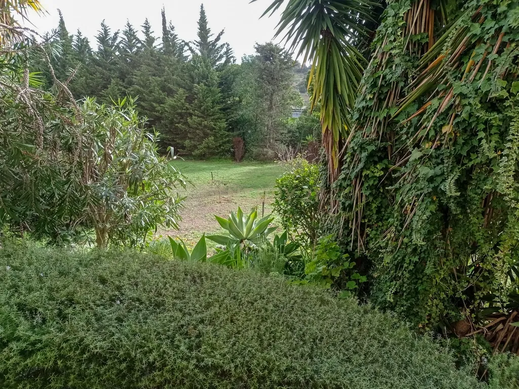 Moradia com Piscina, 4 Quartos, Espiche, Lagos - Image 3