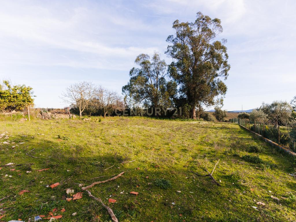 Moradia isolada a 10 minutos de Estremoz- T4, áreas generosas Ar condicionado Piscina, garagem, terreno com 5233m2 - Image 40