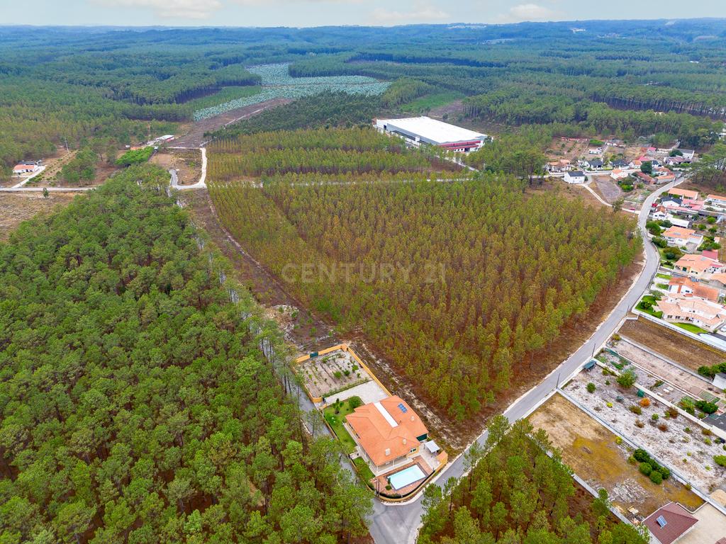 Moradia térrea isolada com piscina - Image 9