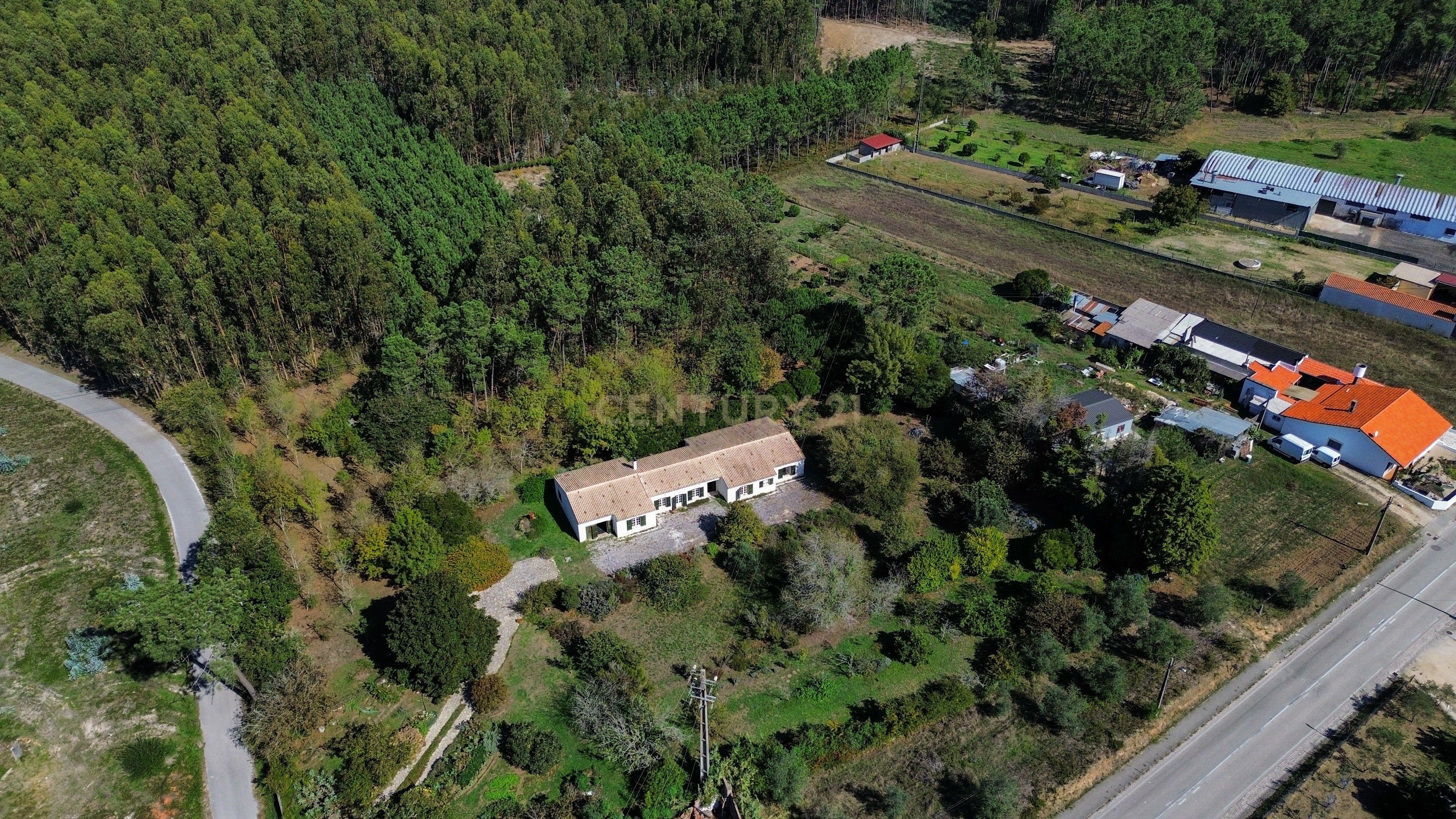 Excelente Moradia Térrea T4 | Guia - Image 30