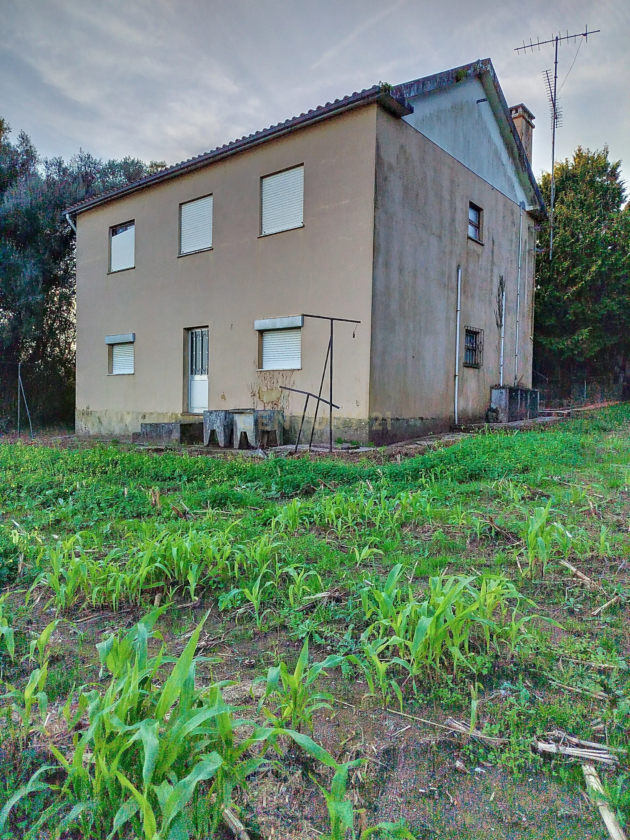 Moradia com 5 quartos em Santa Marta de Portuzelo com Amplo Espaço e Potencial - Image 7