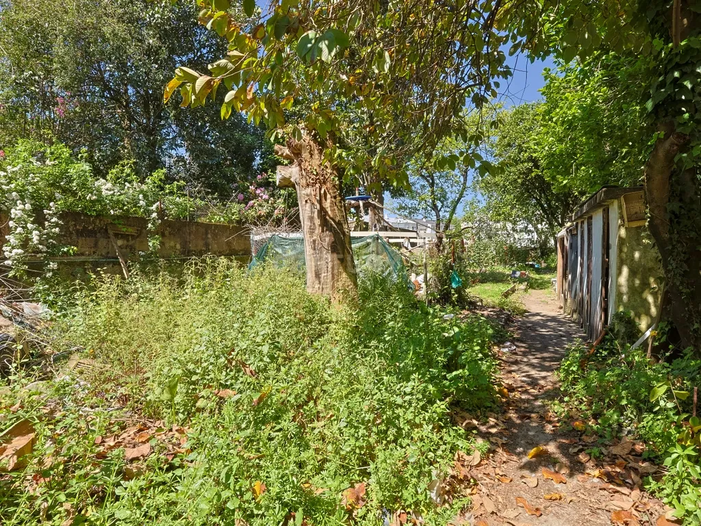 Moradia para reabilitação com projecto ou viabilidade para construção em altura - Image 8