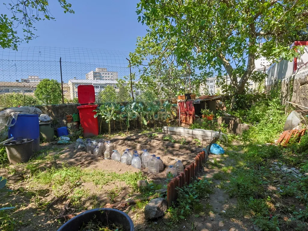 Moradia para reabilitação com projecto ou viabilidade para construção em altura - Image 20