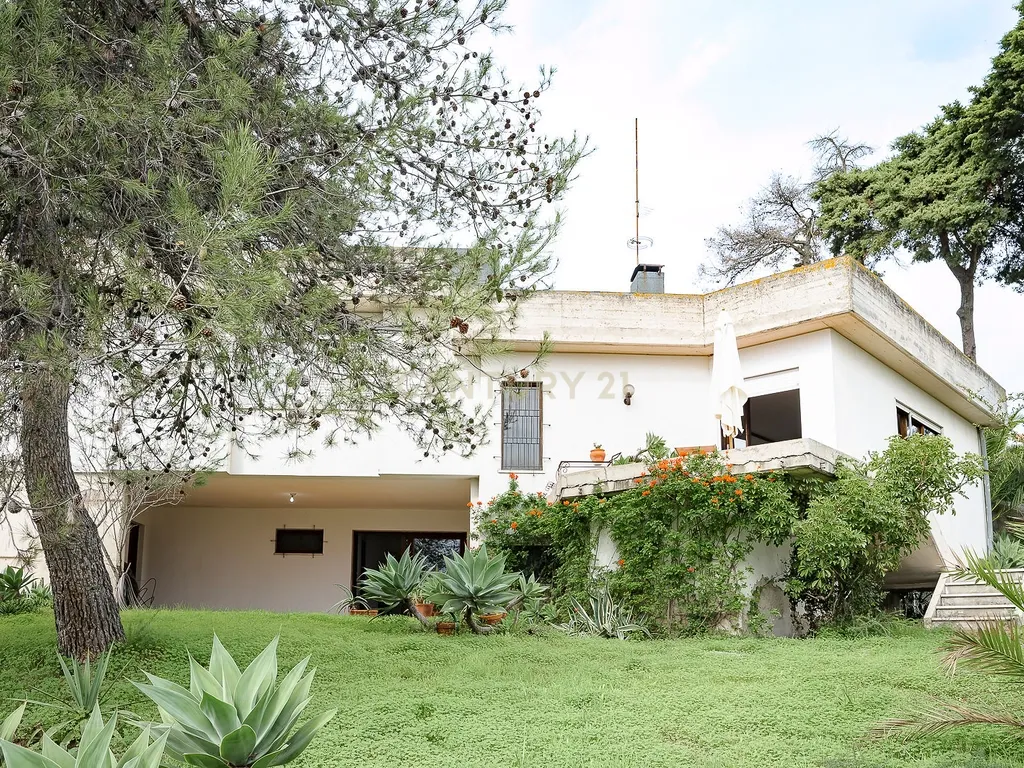 Moradia Contemporânea dos Anos 70 em Brancanes, Setúbal - Image 7