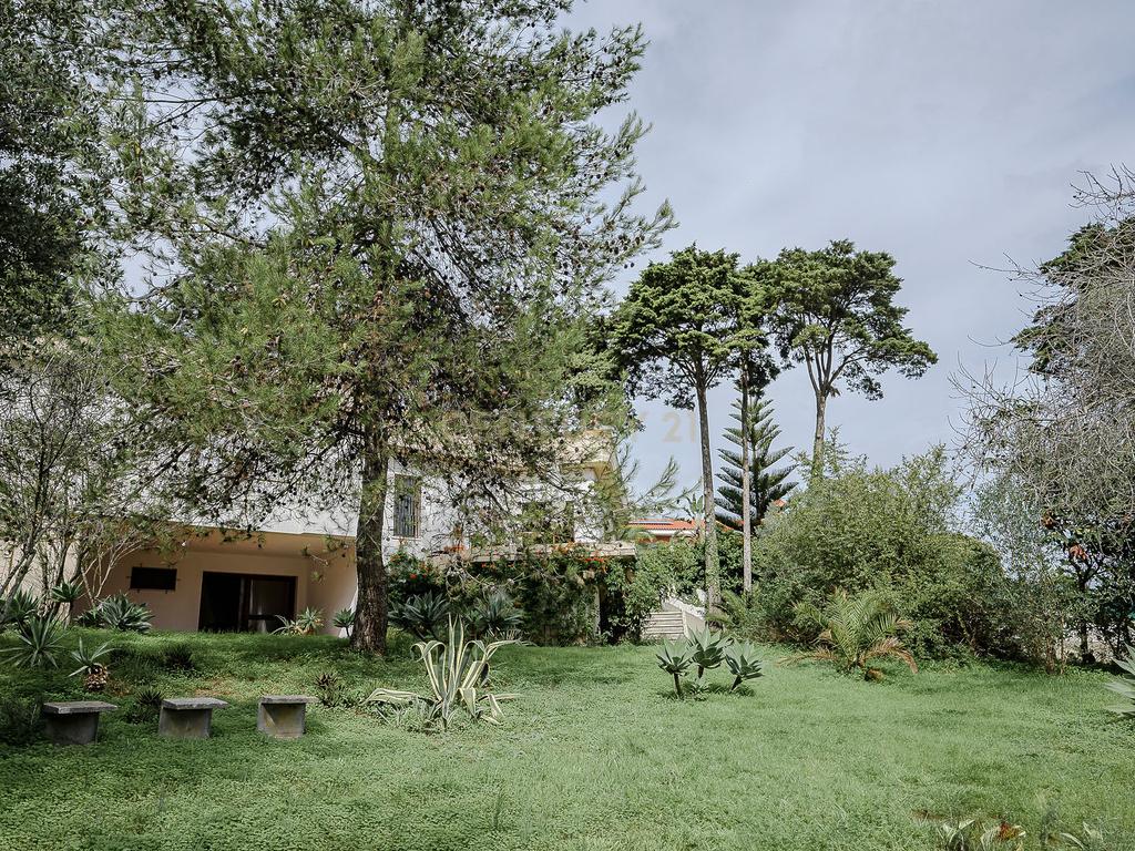 Moradia Contemporânea dos Anos 70 em Brancanes, Setúbal - Image 3