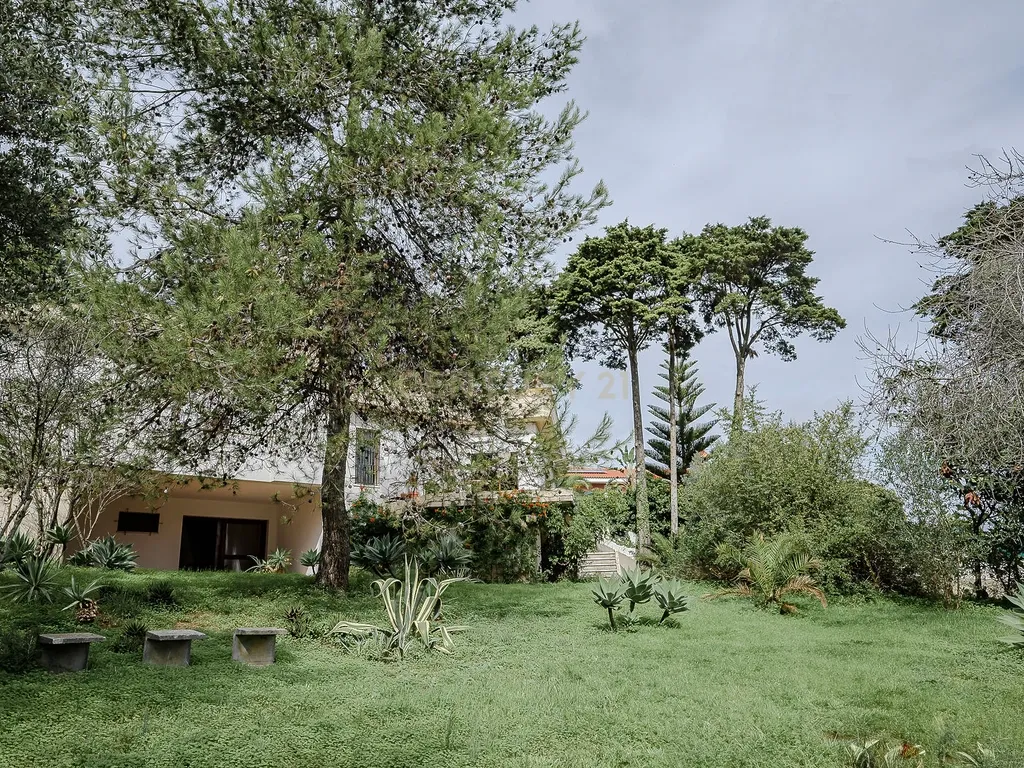 Moradia Contemporânea dos Anos 70 em Brancanes, Setúbal - Image 3