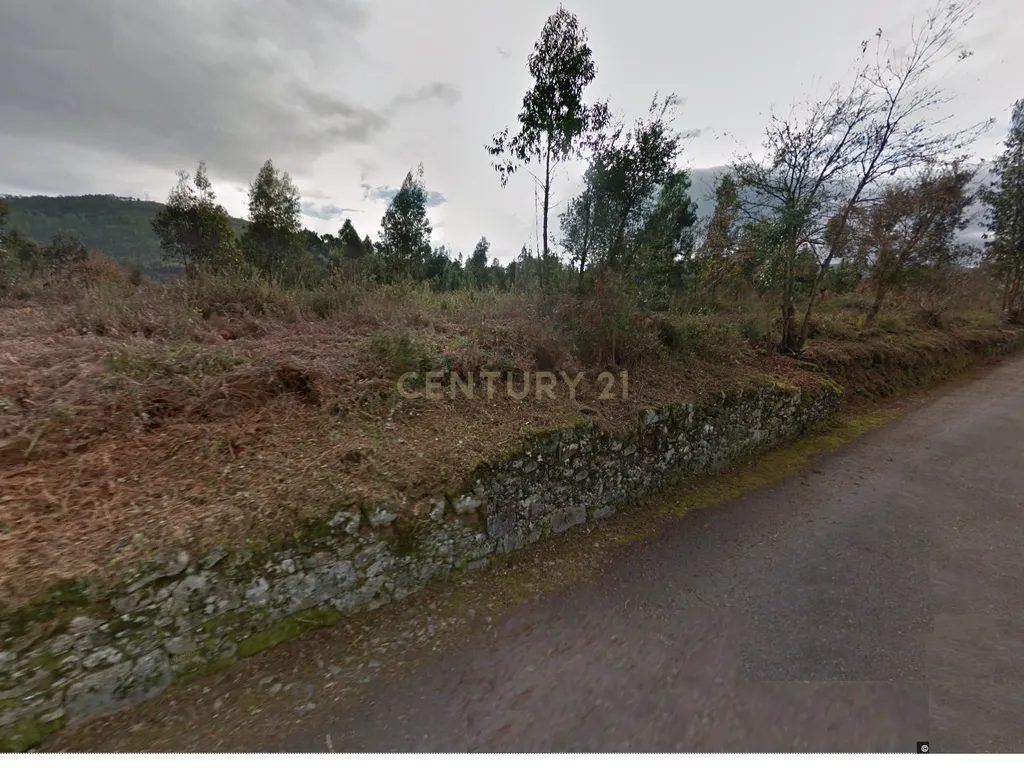 Terreno de construção Ideal para Loteamento 18 mil m2 em Mujães - Image 3