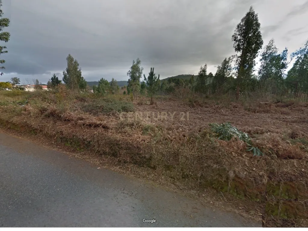 Terreno de construção Ideal para Loteamento 18 mil m2 em Mujães - Image 2