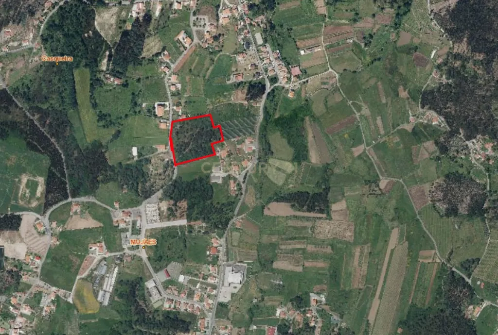 Terreno de construção Ideal para Loteamento 18 mil m2 em Mujães - Image 1