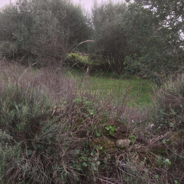 Terreno Urbano em São Barnabé - Image 3