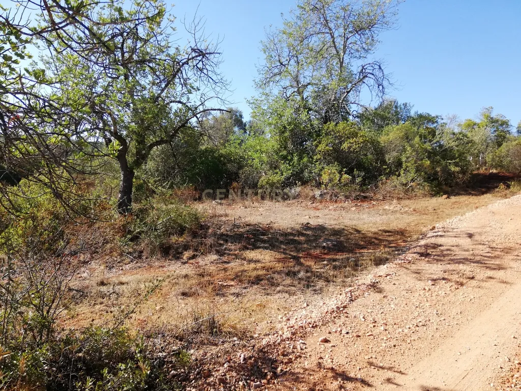 Terreno Plano - Image 2