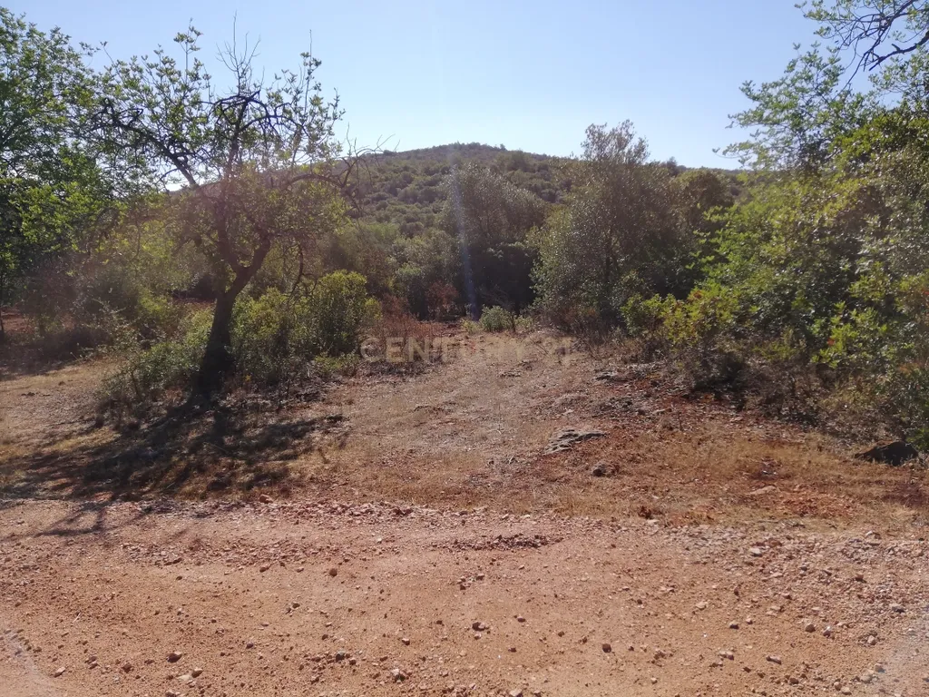 Terreno Plano - Image 3