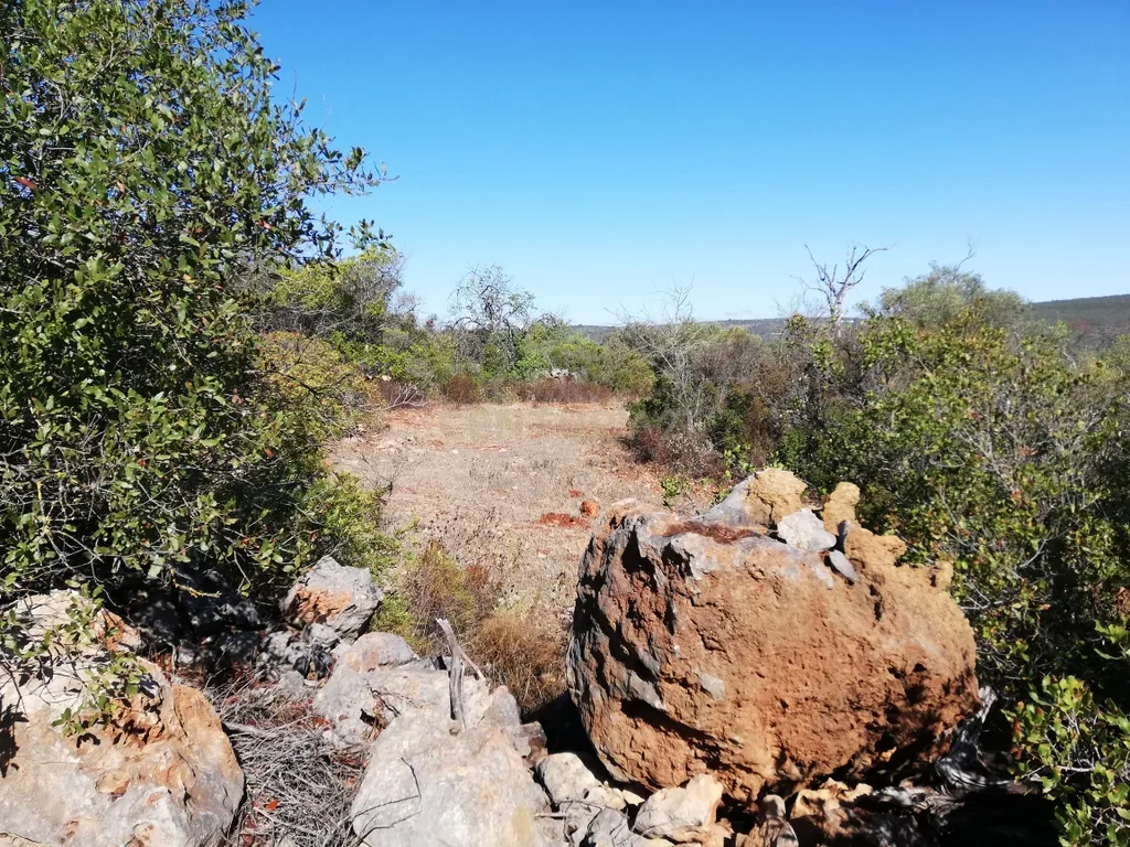 Terreno Plano - Image 1