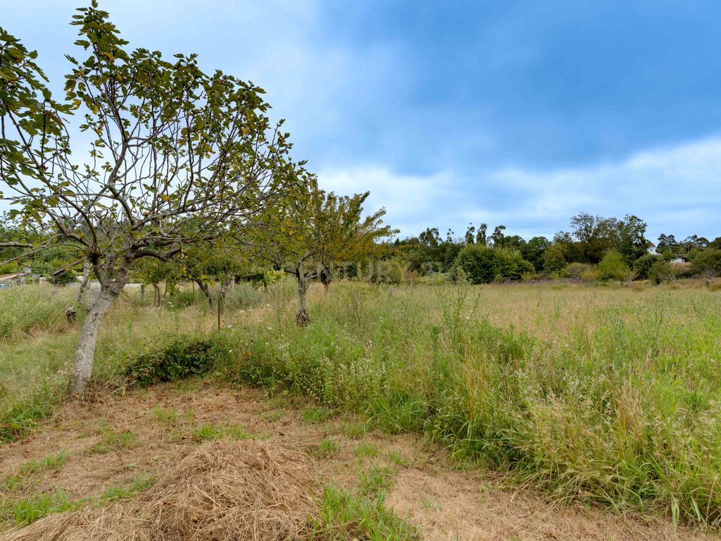 Quinta em Serzedo, Vila Nova de Gaia - Image 18
