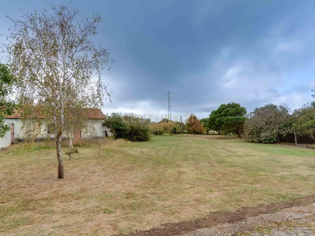 Quinta com 2 Habitações, Terreno e Pomar - Image 15