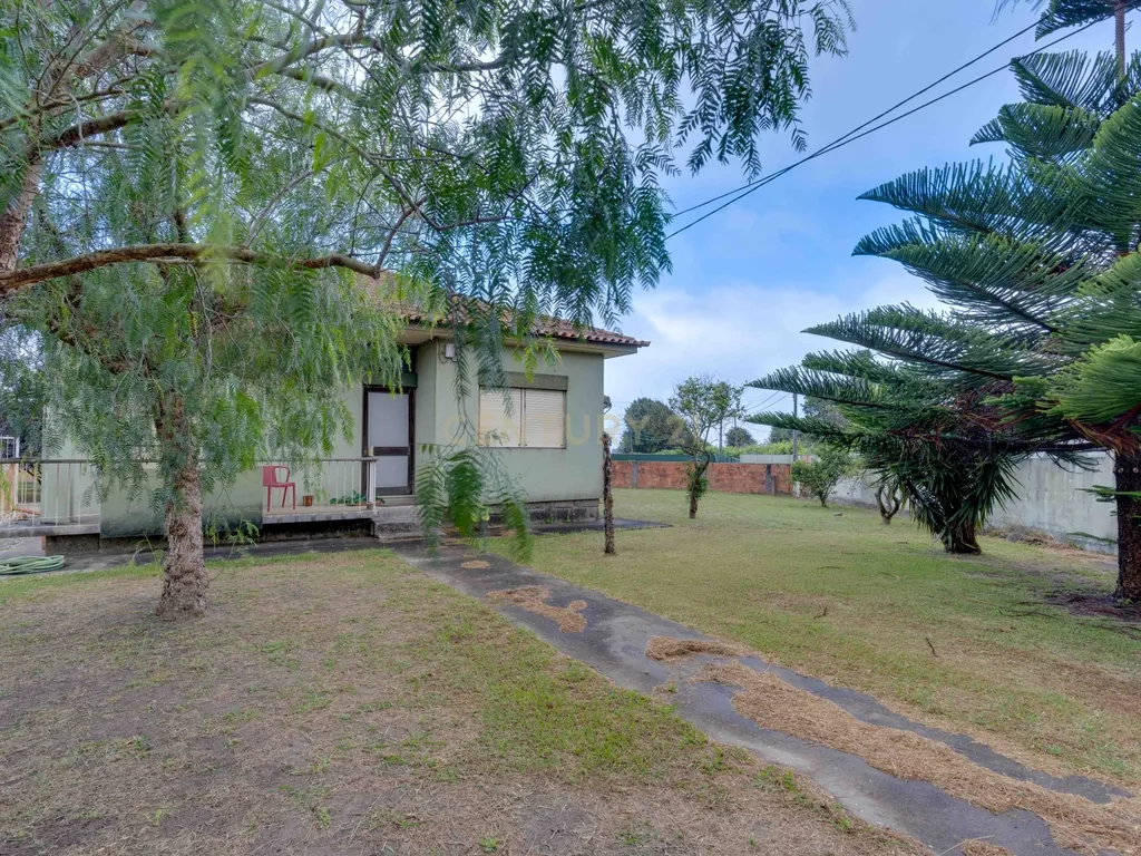 Quinta com 2 Habitações, Terreno e Pomar - Image 3