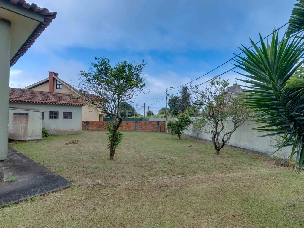 Quinta com 2 Habitações, Terreno e Pomar - Image 4