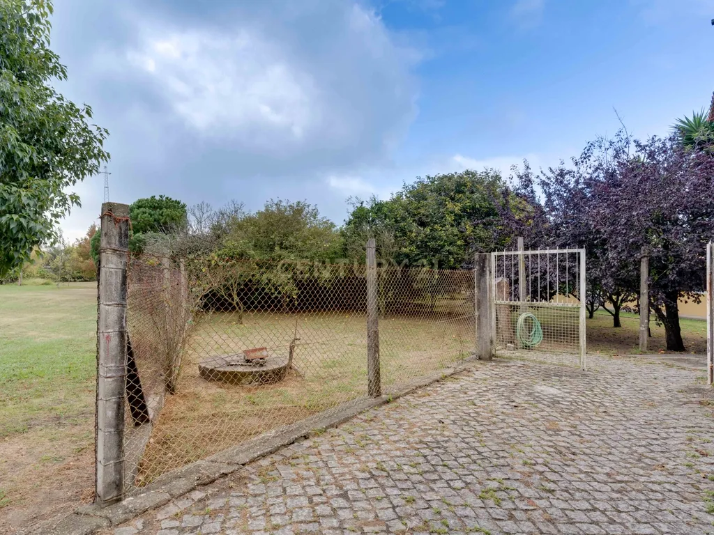 Quinta com 2 Habitações, Terreno e Pomar - Image 16