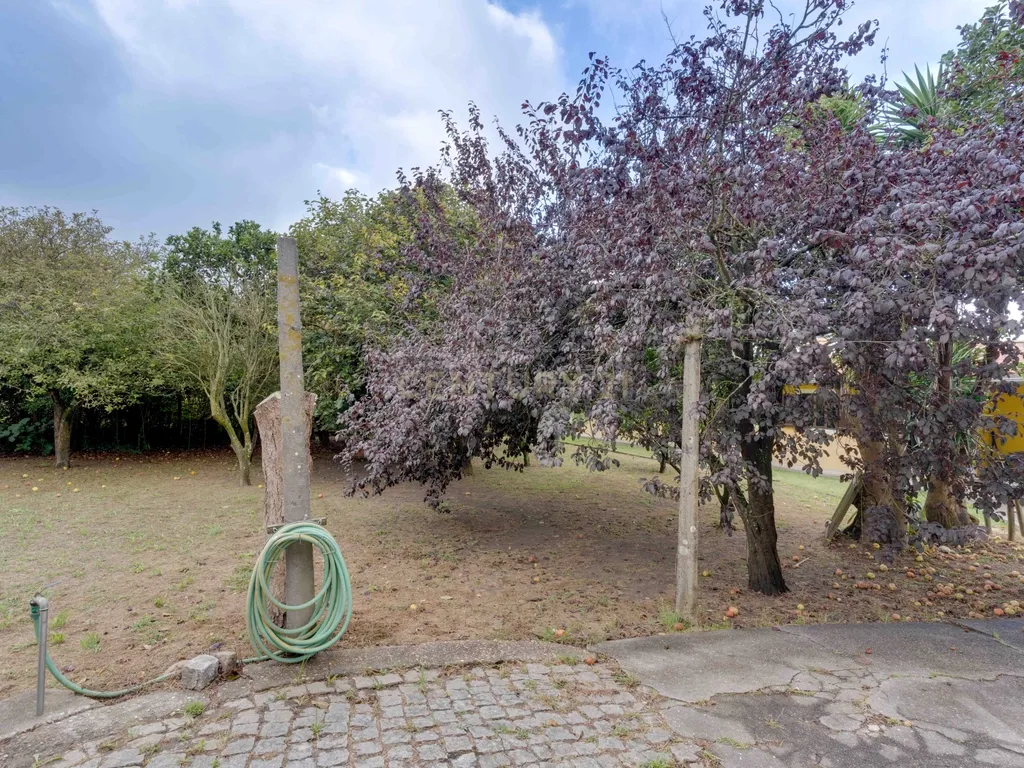 Quinta com 2 Habitações, Terreno e Pomar - Image 17