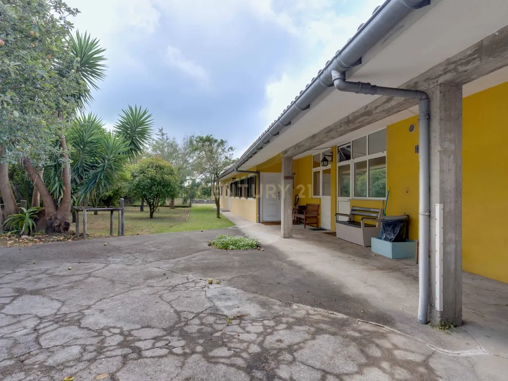 Quinta com 2 Habitações, Terreno e Pomar - Image 9