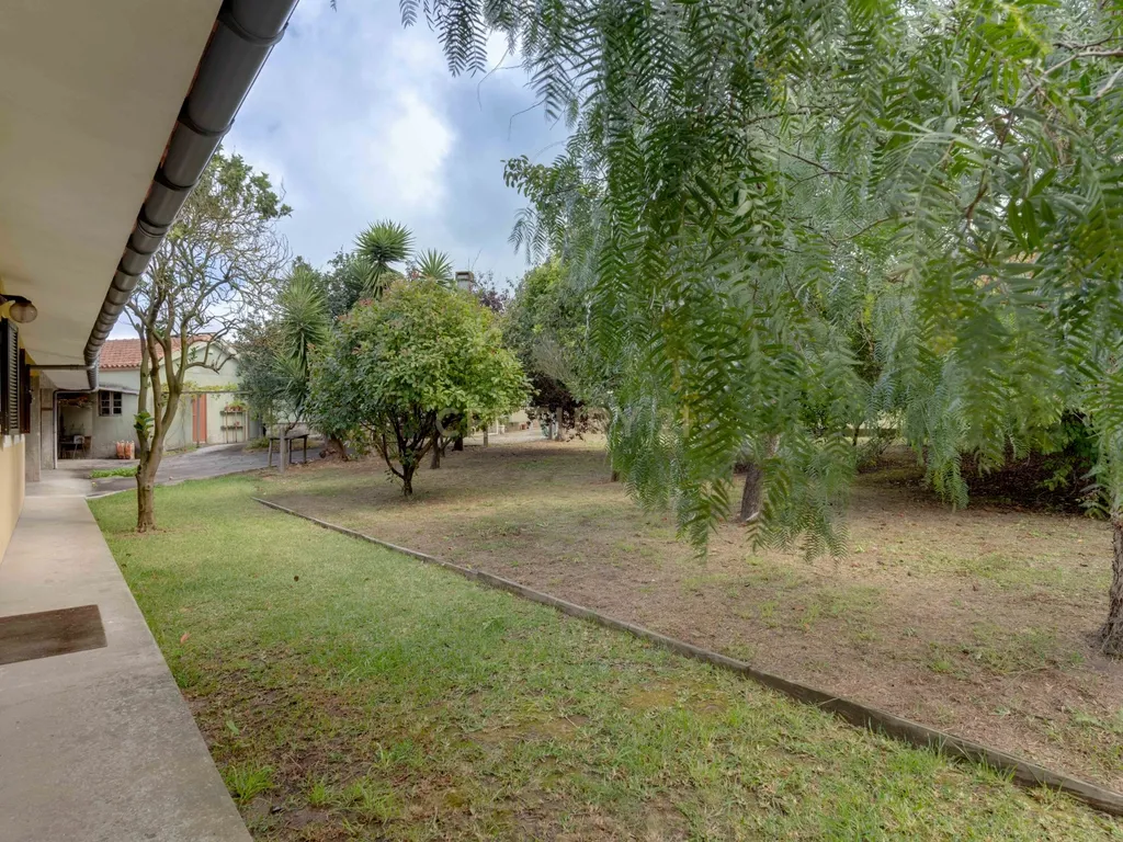 Quinta com 2 Habitações, Terreno e Pomar - Image 11