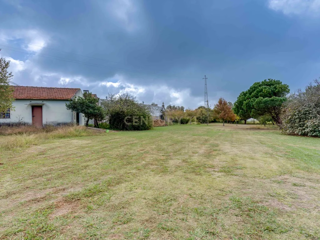 Quinta com 2 Habitações, Terreno e Pomar - Image 12