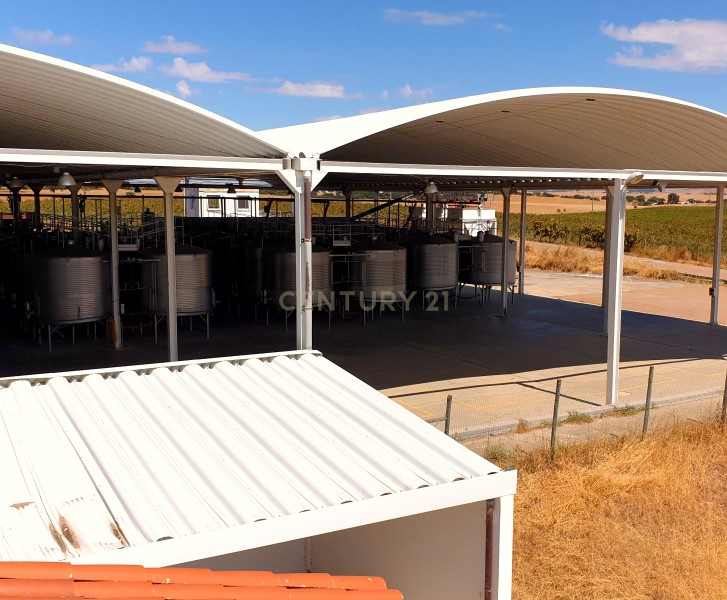 Herdades com produção Vinho, com 157,3ha situada em Terrugem, concelho de Elvas - Image 8