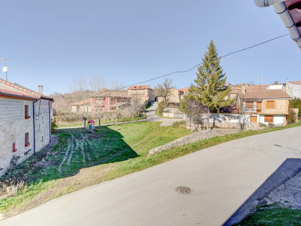 - Image 7