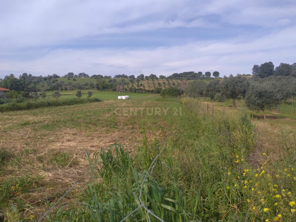 Terreno misto para construção - Image 2