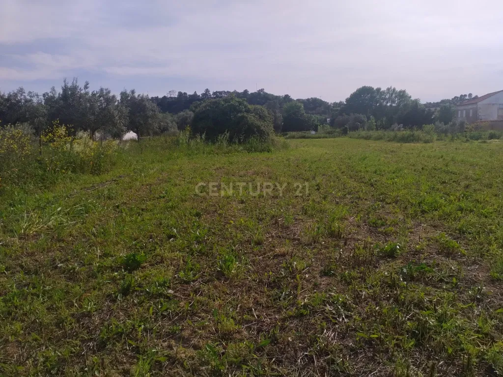 Terreno misto para construção - Image 7