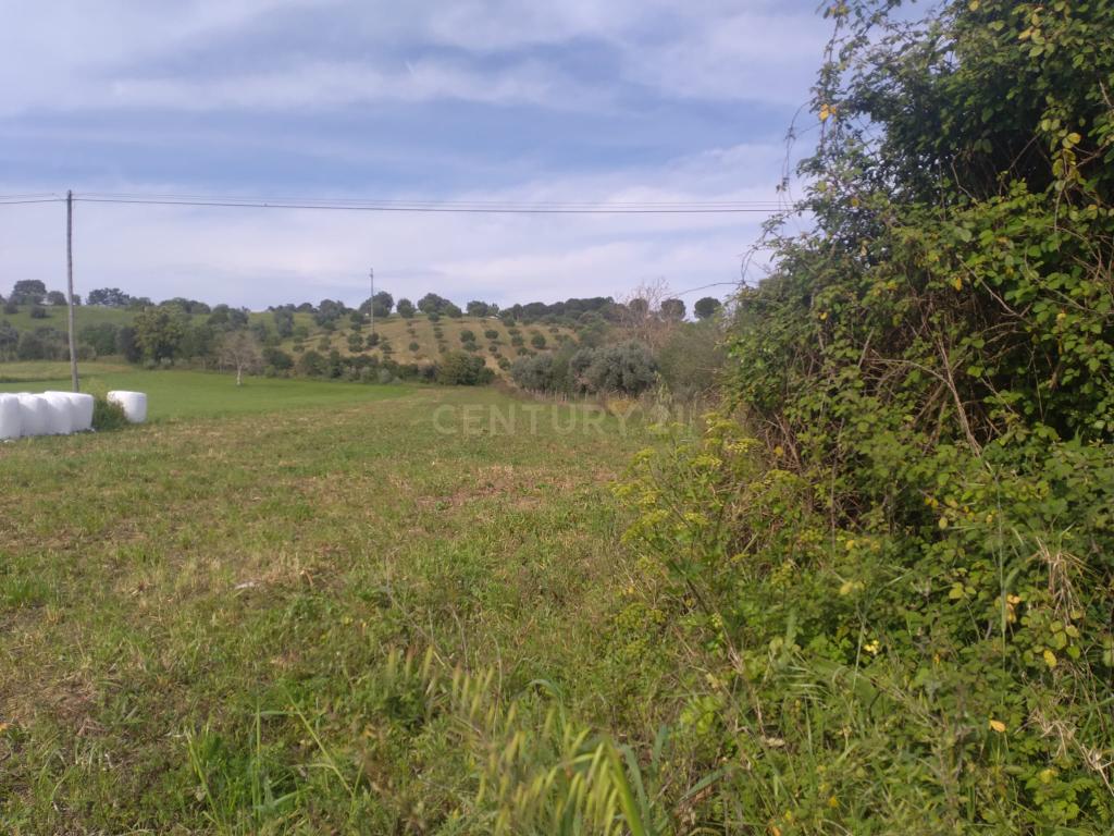 Terreno misto para construção - Image 5