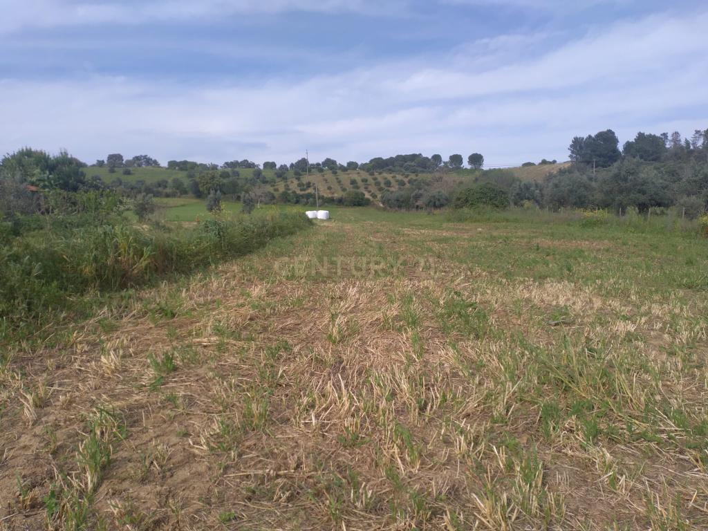 Terreno misto para construção - Image 4