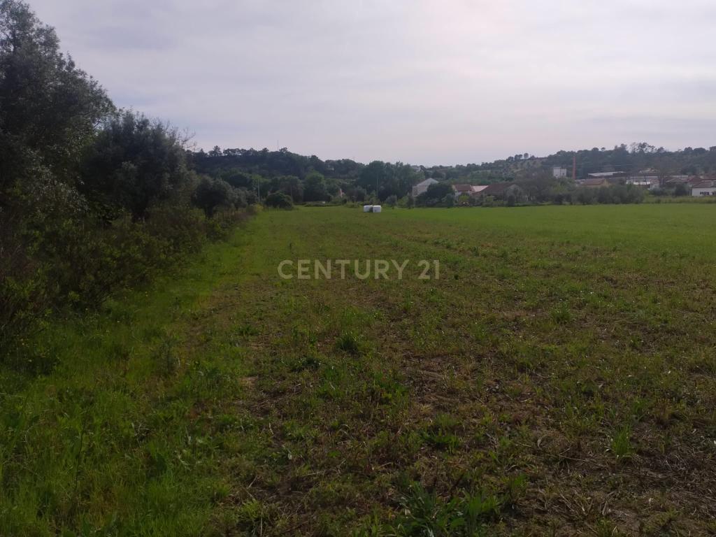 Terreno misto para construção - Image 6