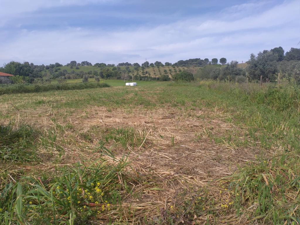 Terreno misto para construção - Image 3
