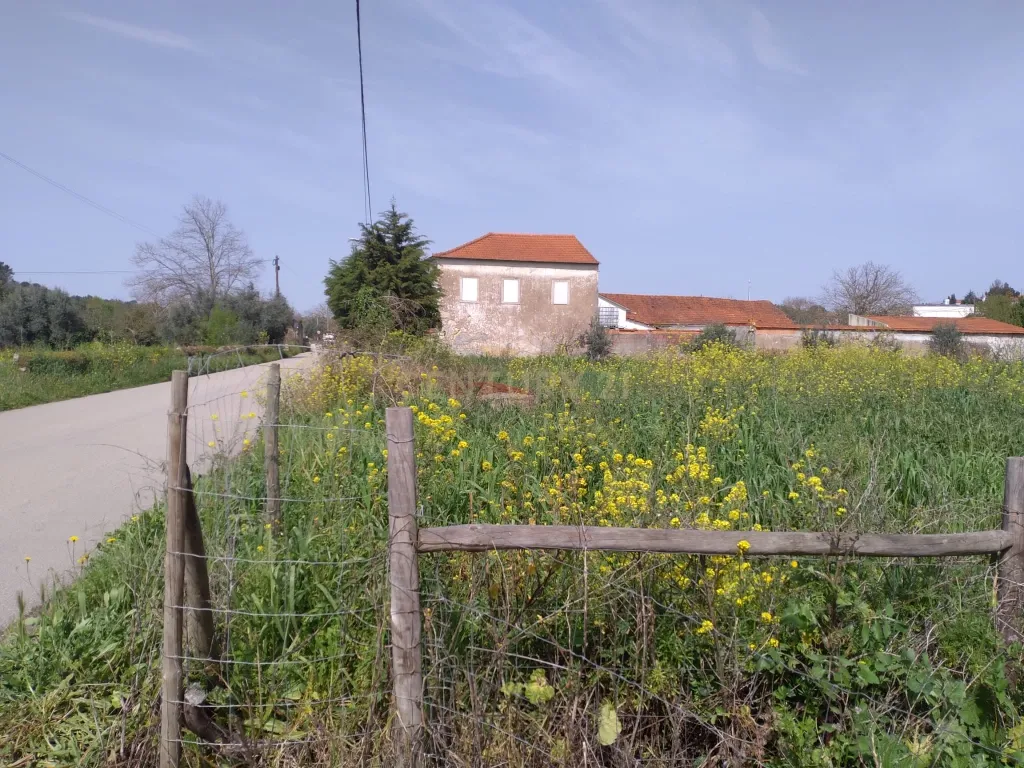 Terreno misto para construção - Image 8