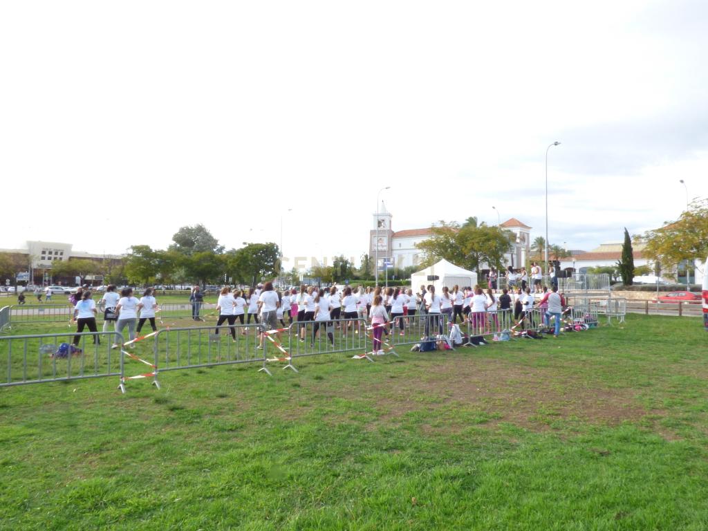 Lote para construção, com projeto aprovado de moradia V3    perto do Shopping, Fórum Algarve, e ecovia do Parque Natural da Ria Formosa. - Image 19