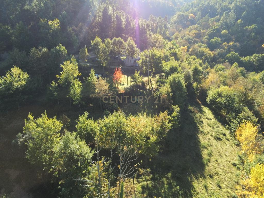 Fabulosa Quinta à Venda zona do Gerês – Um Oásis Natural com 28.000m² Terreno - Image 24