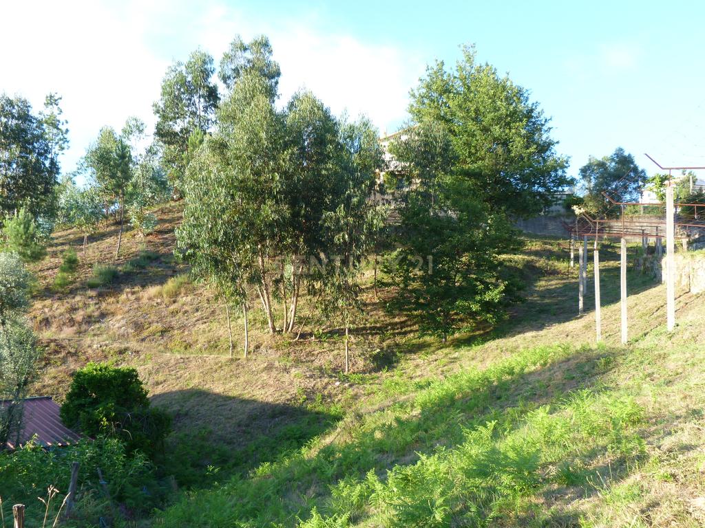 Terreno construção Póvoa de Lanhoso - Image 9
