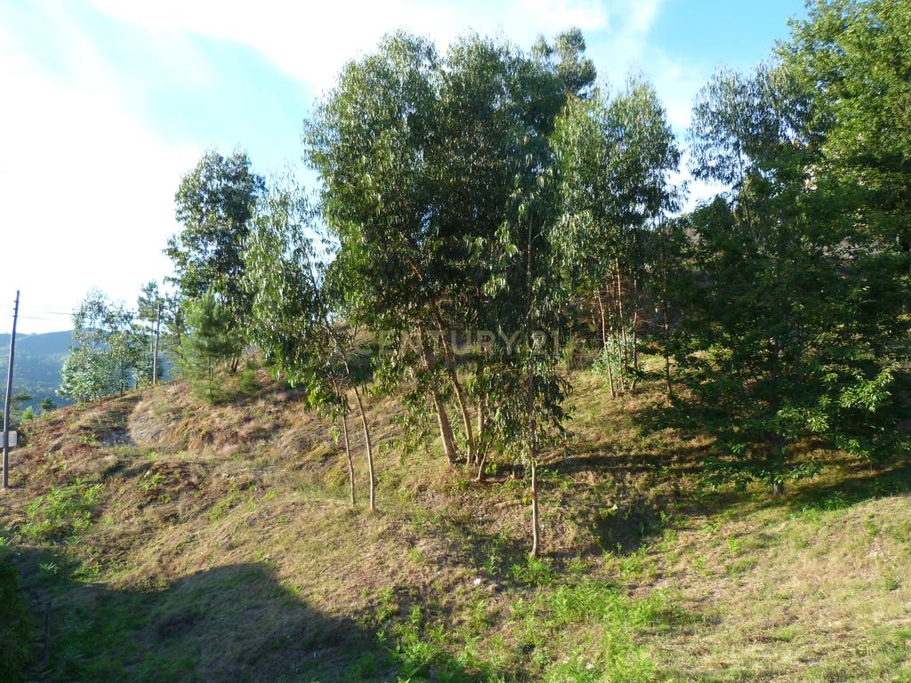 Terreno construção Póvoa de Lanhoso - Image 6