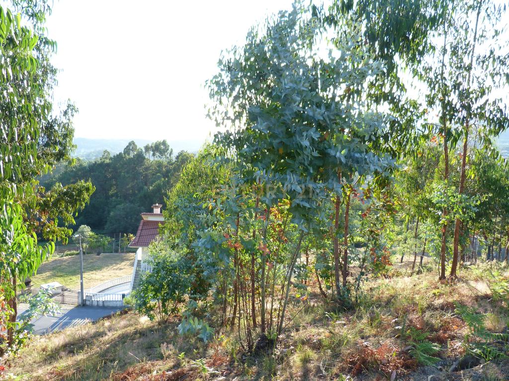 Terreno construção Póvoa de Lanhoso - Image 8